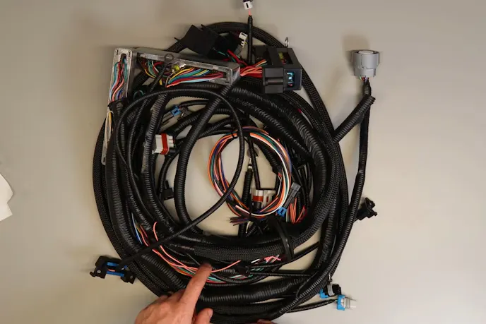 China LS Harness (3)